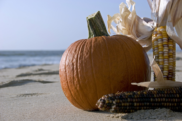 Fall pumpkin on the beach in Myrtle Beach,SC